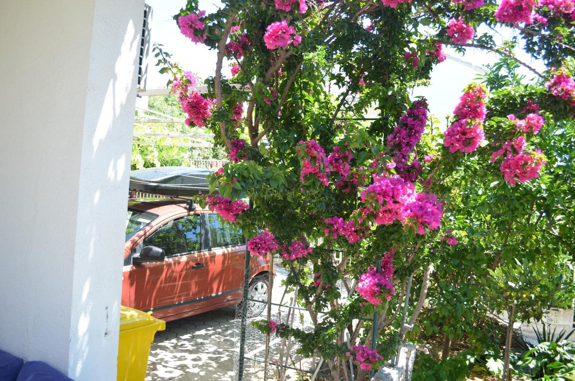Orebic Garden House Bagian luar foto